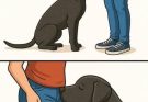 😳Did you know that if a dog smells your parts it’s po…See more