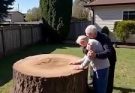 When we came back from vacation, one of our ancient trees was gone. But the real shock came when we checked the footage.