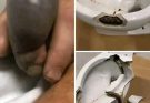 He went to the bathroom without knowing that there was a…See more