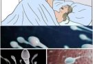 Many know! Studies reveal that swallowing your partner’s semen…See more