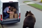 07:51:04 It wasn’t the package the bear was afte…See more