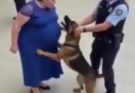 Dog Barks Repeatedly at a 7 Month Pregnant Woman… When Police Realized Why, It Was Already Too Late!