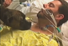 🥹They Let the Dog In… What Happened Next Left Everyone in Tears…See more