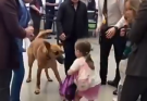 Security Dog Started Barking at a Child’s Backpack—What Was Inside Made the Whole Airport Go Silent…