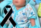 The 5-month-old baby who was hit by a…See more