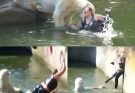 🎥HORROR AT BERLIN ZOO: 32-Year-Old Woman Jumps Into Polar Bear Enclosure — What happened next left visitors transfixed. It was supposed to be a normal afternoon at the Berlin Zoo…