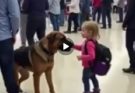 Security Dog Started Barking at a Child’s Backpack—What Was Inside Made the Whole Airport Go Silent Watch: see more