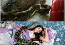 Woman slept with her python every night until the vet showed her a surprising…see more