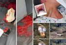 😭 R.I.P 😭Young woman dies at the hands of her…see more