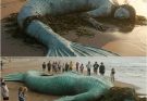 Giant mermaid found in…See more
