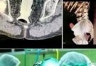 Girl had to be hospitalized for wanting to use a pe…See more