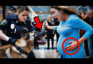 Dog Barks Repeatedly at a 7 Month Pregnant Woman… When Police Realized Why, It Was Already Too Late! Watch:
