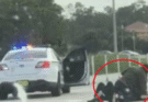 Passerby Who Killed Man Attacking Cop Learns His Fate…See more