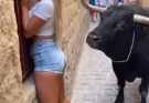 Bull corners GORGEOUS tourist, but something else was happening