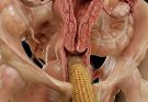Doctors reveal the most dangerous objects found in private…See more