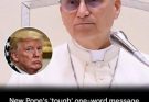 Pope’s short message to the United States goes viral…See more