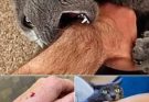 If the cat bites you, here’s what it really means…See more