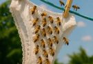 SO BE CAREFUL,🐝 if you notice this in your underwear, it means you have C…See more