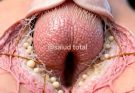 Did you know that a WOMAN gets excited quickly when she’s touch…See more