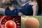 😏Men who suck their women’s vaginas are… See more