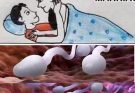 Studies reveal that swallowing your partner’s semen2…See more