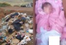BABY IS FOUND MU3RT4 AND ABANDONED IN A GARBAGE…See more